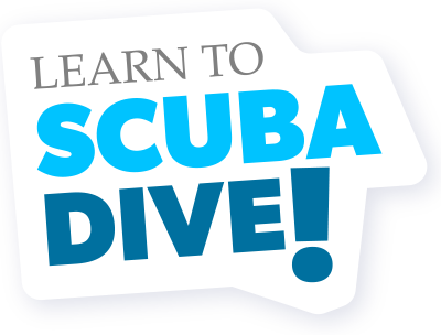 Image of Learn to Scuba Dive